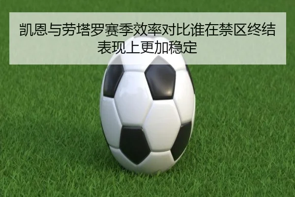 凯恩与劳塔罗赛季效率对比谁在禁区终结表现上更加稳定
