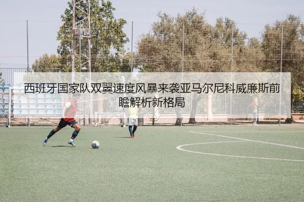 西班牙国家队双翼速度风暴来袭亚马尔尼科威廉斯前瞻解析新格局